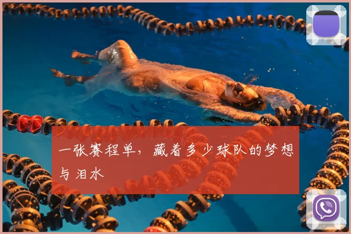 一张赛程单，藏着多少球队的梦想与泪水