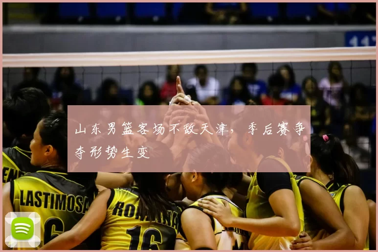山东男篮客场不敌天津，季后赛争夺形势生变