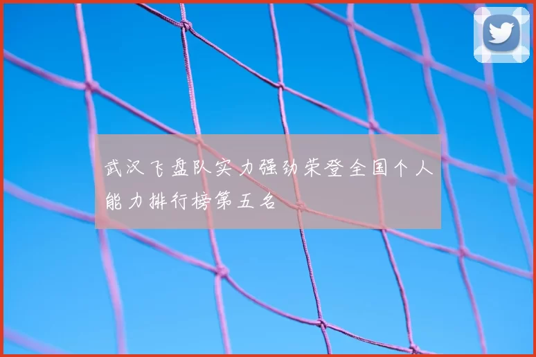 武汉飞盘队实力强劲荣登全国个人能力排行榜第五名