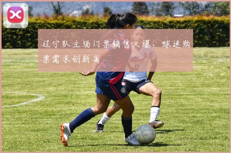 辽宁队主场门票销售火爆,球迷购票需求创新高