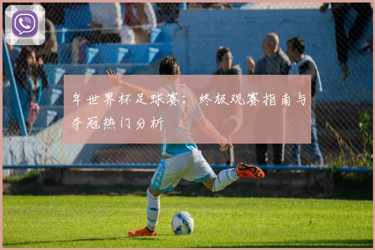 年世界杯足球赛：终极观赛指南与夺冠热门分析