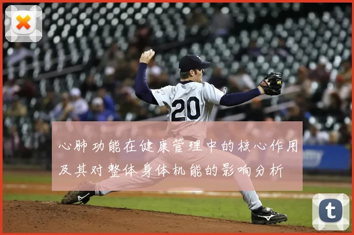 心肺功能在健康管理中的核心作用及其对整体身体机能的影响分析