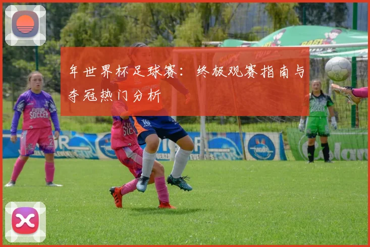 年世界杯足球赛：终极观赛指南与夺冠热门分析