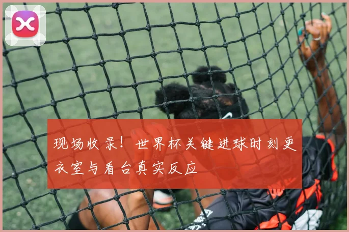现场收录!世界杯关键进球时刻更衣室与看台真实反应