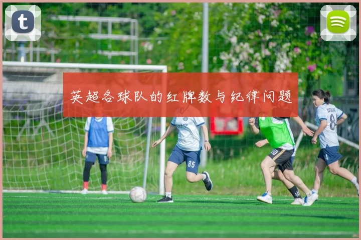 英超各球队的红牌数与纪律问题