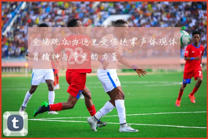 全场观众为德里受伤送掌声体现体育精神与尊重的力量
