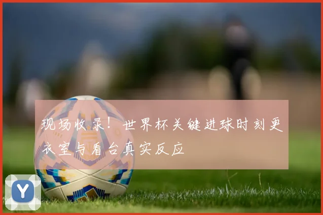 现场收录!世界杯关键进球时刻更衣室与看台真实反应