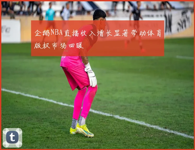 企鹅NBA直播收入增长显著带动体育版权市场回暖