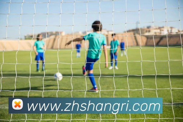 华体网页版全站App